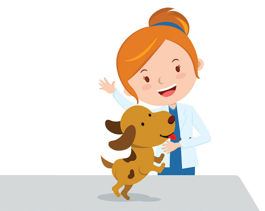 Dog Groomer Bournemouth